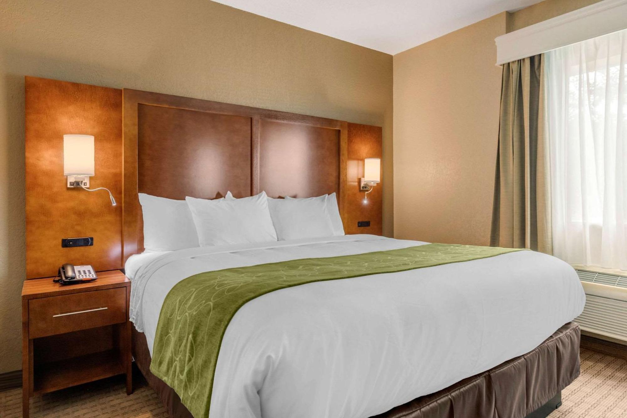Comfort Suites San Antonio Airport North מראה חיצוני תמונה